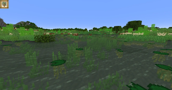Swamp Rushbed