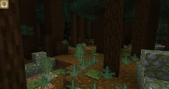 Old Growth Taiga