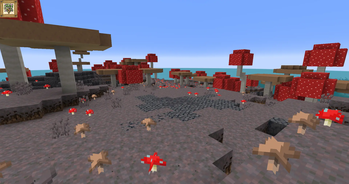 Mushroom Fields
