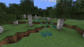 Honey Berry Bush Generation