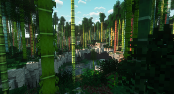 Bamboo Forest