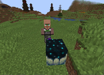 Mob Fanatic Villager