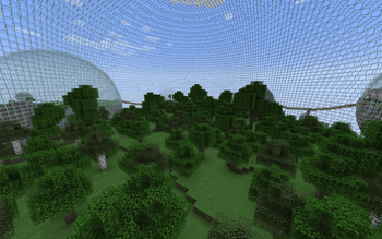 🌳 Lush Forest Biosphere
