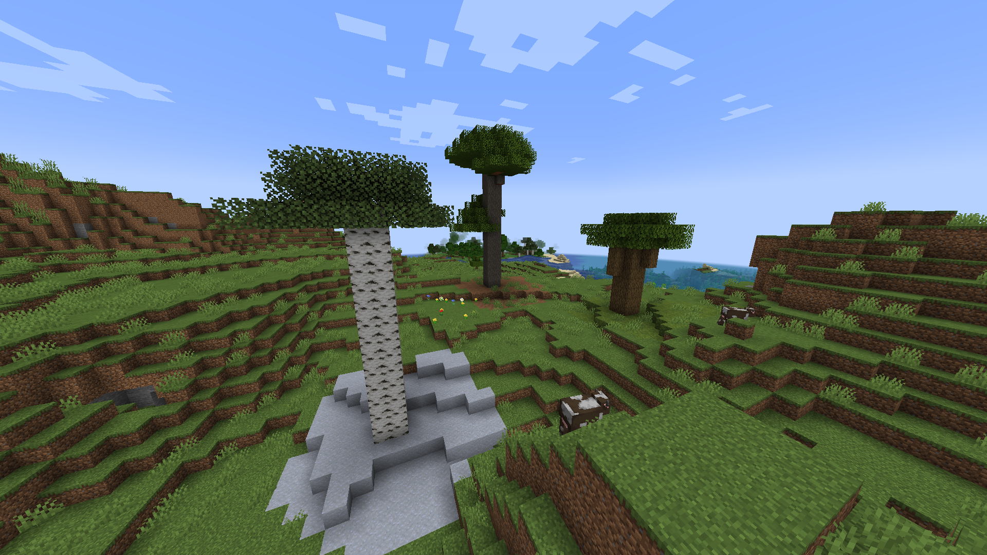 Real big trees gallery