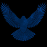 RavenBlack