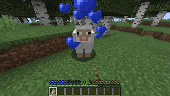 Sheep Hearts