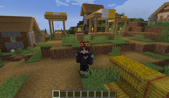 Villager Hat Mod