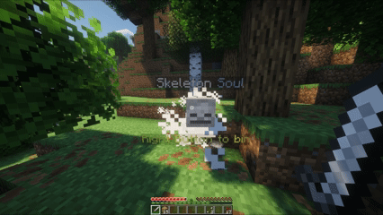 Soul Binding