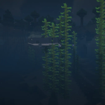 Shark