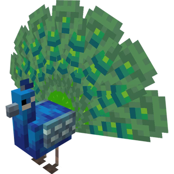 Peacock