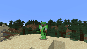 Items Equipped