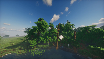 forest