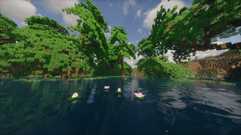 A tree is growing out of the river.