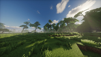 beautiful trees