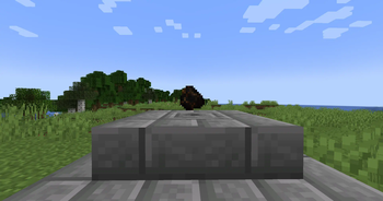 Critical Coal
