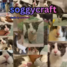 Soggycraft 游戏截图