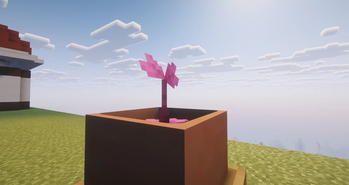 An Eggant Berry growing inside of a Botany Pot