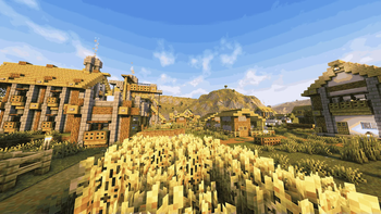 wheat
