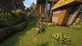 moo