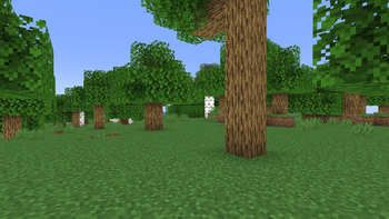 After (Shading Removed)