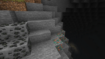 Coal Ore and Copper Ore in Cave Mouth