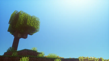 overview 2