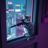 Conneticat