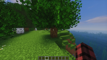 Crosshair in game