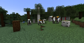 Striders