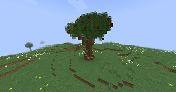 Grand apple tree.