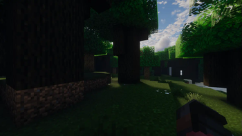Dark Forest
