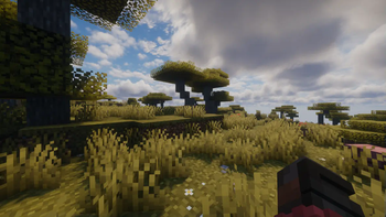 Savana