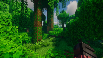 Jungle