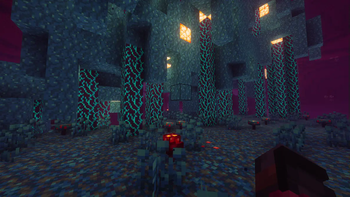 Warped Forest