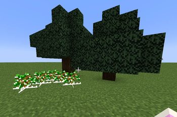Winter Oak