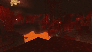 in the nether