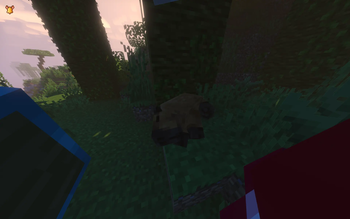 Expanded optimize — screenshot 1
