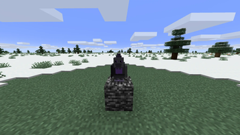 Wither Chicken