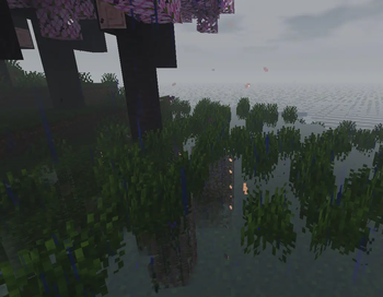 Reflective water in a misty cherry-blossom swamp