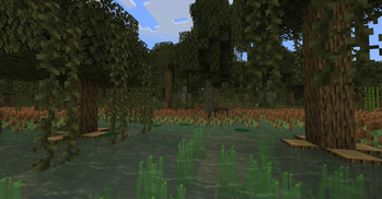 Swamp