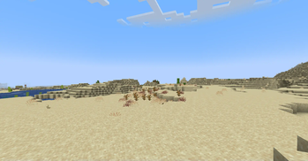 Desert