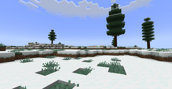 Snowy Plains