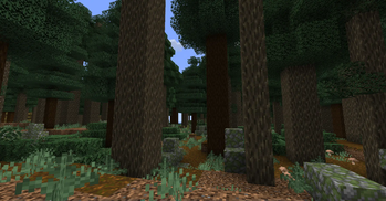 Old Growth Pine Taiga