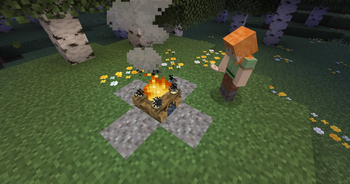 Cooking Eggs