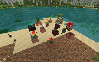 Custom Flower Pots
