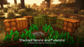 Stacked Melons and Pumpkins