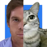 Media Browser