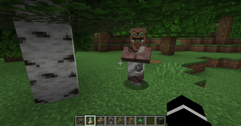The Villager