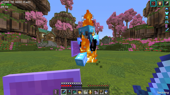 Diamond SMP Duel