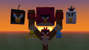 Birds